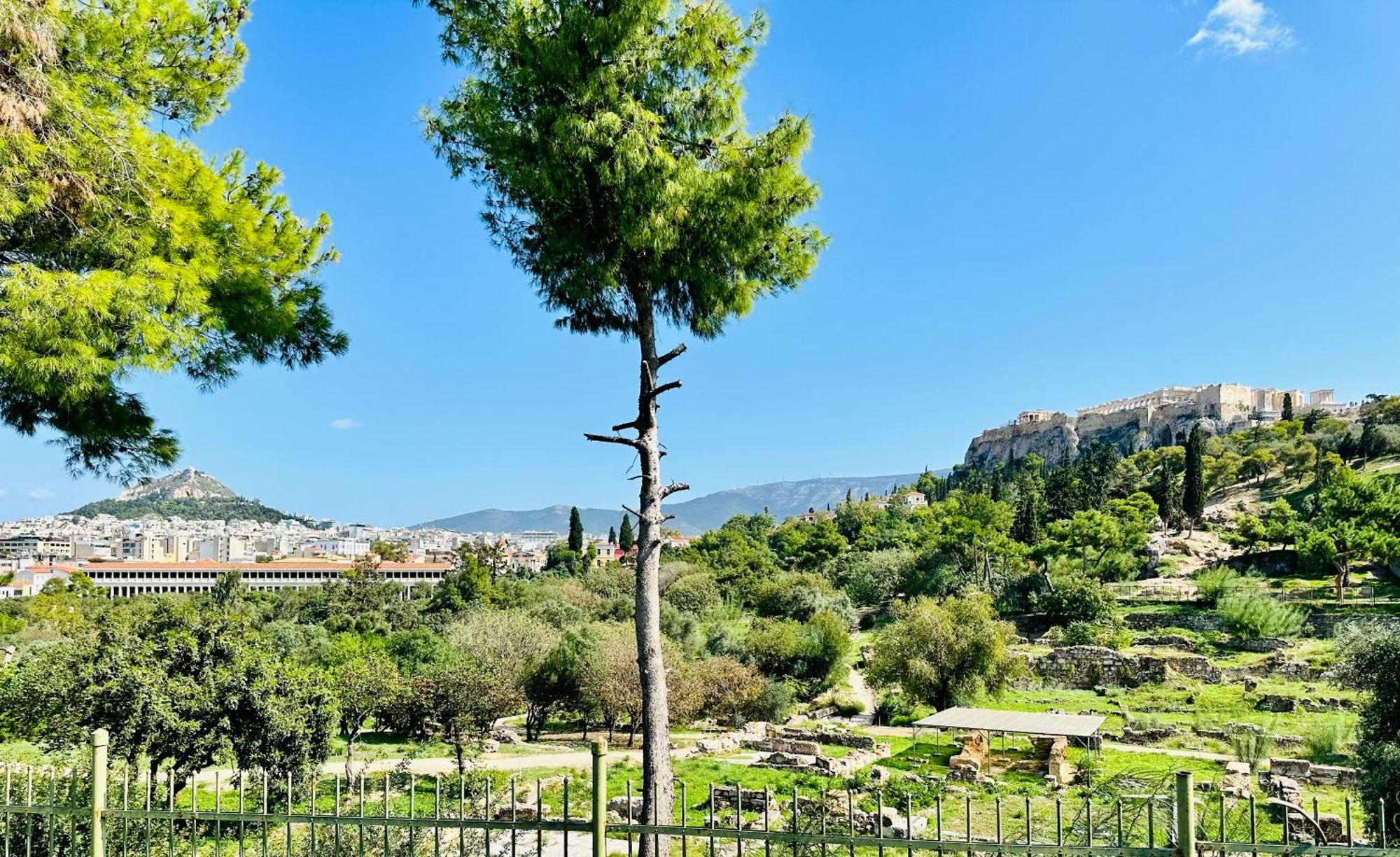 Yuna Penthouse, 100Sqm Private Rooftop Terrasse, Acropolis By Foot Atene Esterno foto